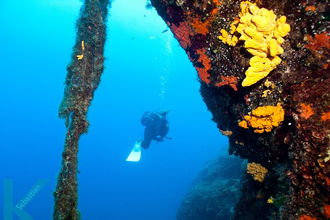 Discover Scuba Diving in the Caldera of the Volcano in Santorini - Key Things To Know Before Your Santorini Underwater Reef Swim