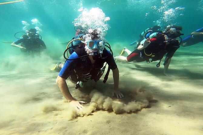 Discover Small Group Scuba Diving Experience in Nea Makri, Athens - Key things I’d circle before you book