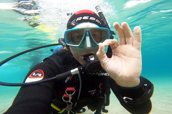 Discover Small Group Scuba Diving Experience in Nea Makri, Athens - The underwater experience at Schinias Beach, what it really looks like