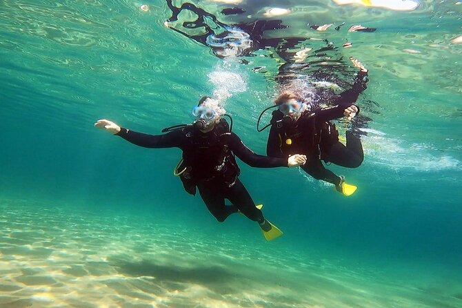Discover Small Group Scuba Diving Experience in Nea Makri, Athens - Marine life spotting and the photos or videos after