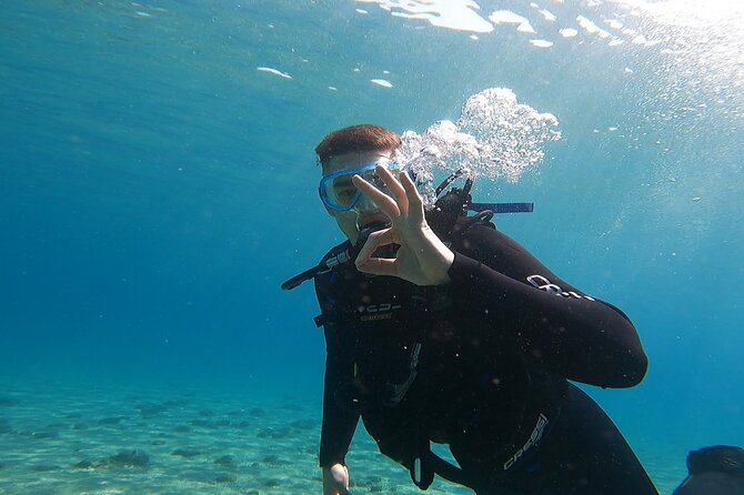 Discover Small Group Scuba Diving Experience in Nea Makri, Athens - Who this suits best, and who should think twice