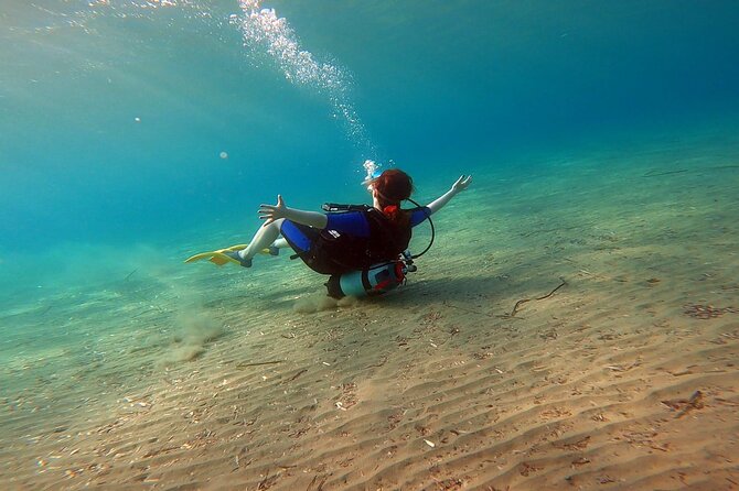 Discover Small Group Scuba Diving Experience in Nea Makri, Athens - Your training starts on land, not at the water
