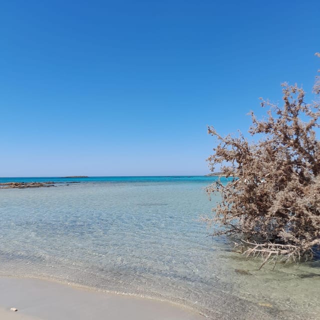 Elafonissi: Private Beach Day Trip with SUP - Who Should Book This Private Elafonissi Day and Why the Price Makes Sense
