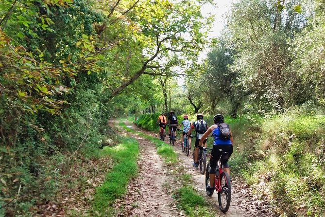Eleftherna E-Bike and MTB Tour - Experience The Authentic Crete - Key Things That Make This Tour Feel Different