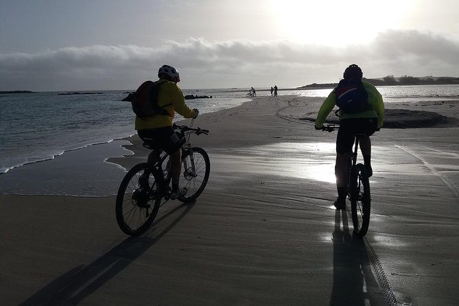 Eleftherna E-Bike and MTB Tour - Experience The Authentic Crete - Equipment, Bike Condition, and Why That Matters