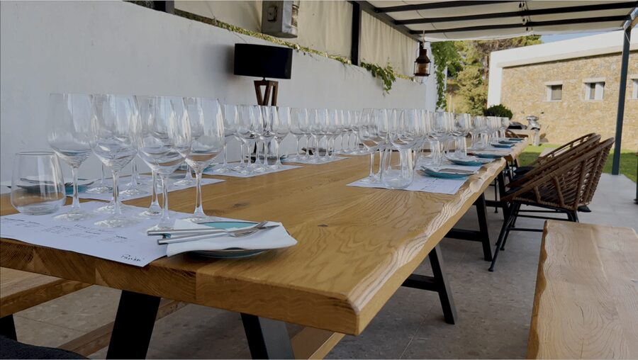 Evening of Wine and Scenic Views in Skiathos - Hilltop Setting That Turns a Tasting into a Viewpoint Night