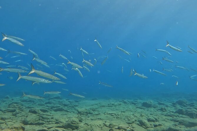 Experience Scuba Diving in Heraklion Crete - Going Deeper at Your Pace, Up to About 10 Meters