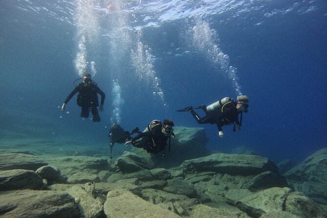 Experience Scuba Diving in Heraklion Crete - What You’ll See Below the Surface: Fish Schools, Octopus, and Sea Urchins
