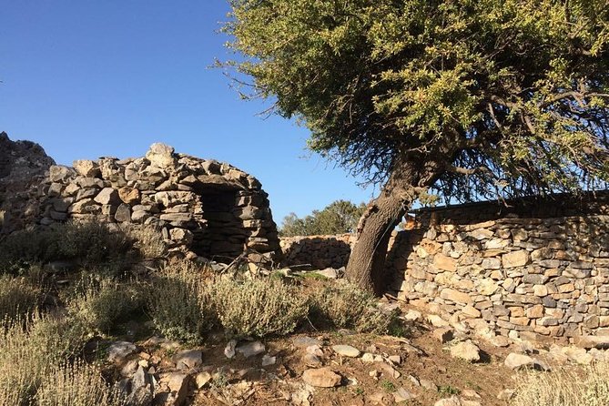 Explore the White Mountains of Crete - A small-group day that actually gets you into the mountains