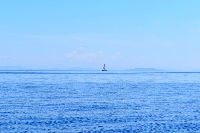 From Agia Efimia: All Inclusive Sailing Day Tour to Ithaca - Key points worth knowing before you go