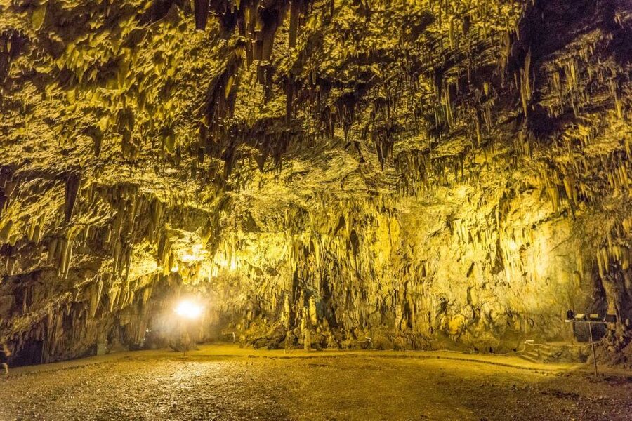 From Argostoli: Kefalonia Shore Excursion Highlights Tour - Who this tour is best for (and who should look elsewhere)