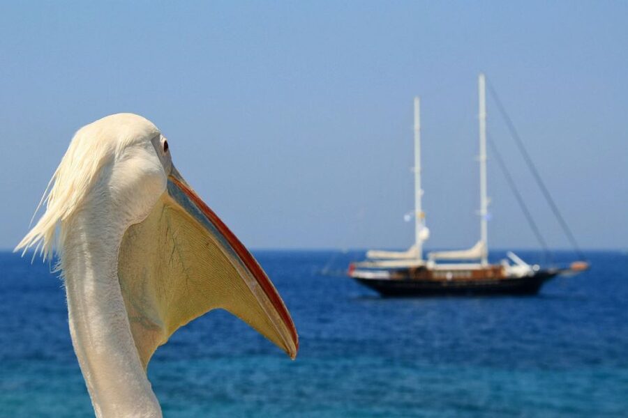 From Athens: 2-Day Santorini and Mykonos Trip - Key Points Before You Go