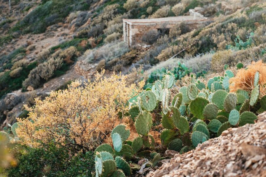 From Athens: Cape Sounion & Temple of Poseidon Half Day Tour - My practical booking decision: should you go?