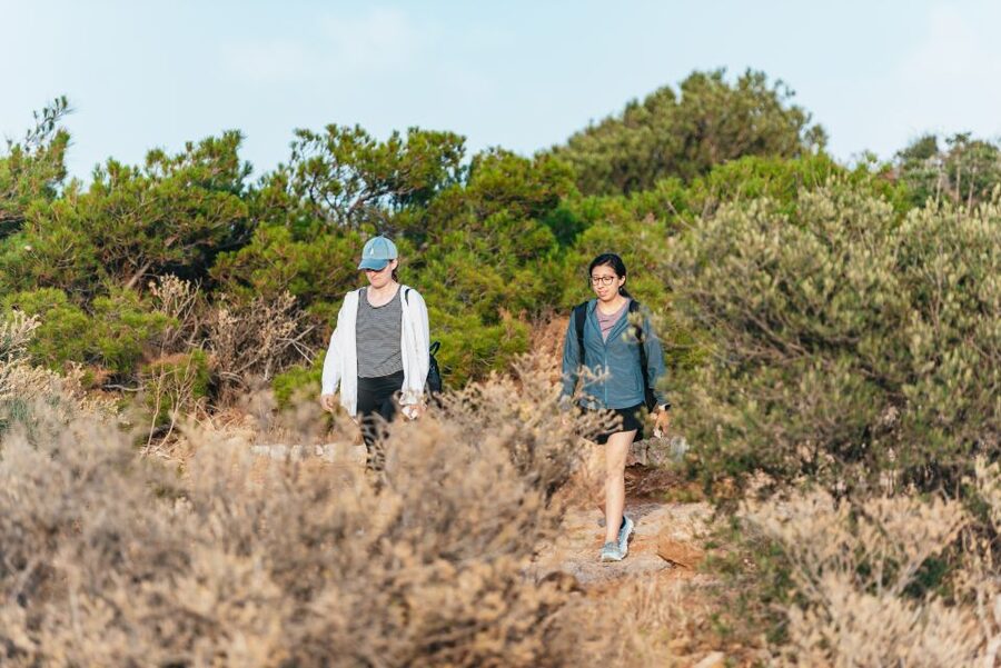 From Athens: Cape Sounion & Temple of Poseidon Half Day Tour - Who should book this Cape Sounion half-day tour?