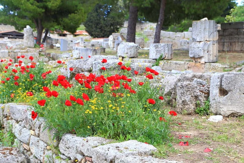 From Athens: Explore Ancient Corinth & Charming Nafplion - Comfort and Logistics from Athens: A Day Trip, Not a Vacation