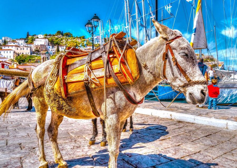 From Athens: Saronic Islands Full-Day Cruise with VIP Seats - Poros in About 50 Minutes: Pines, White Alleys, and a Clock Tower Moment