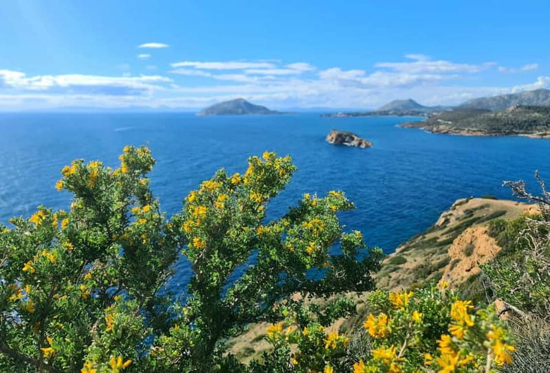 From Athens: Temple of Poseidon & Cape Sounion Half-Day Tour - Cape Sounion and the Temple of Poseidon: why this trip is so popular