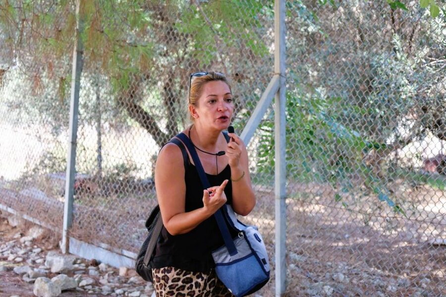 From Chania: Full-Day Heraklion Highlights Guided Tour - The 10-hour day: timing tips that actually help