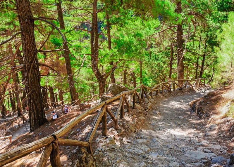 From Chania: Full-Day Samaria Gorge Trek Excursion & Guide - Ferry to Sougia and the ride back by 8:30 PM