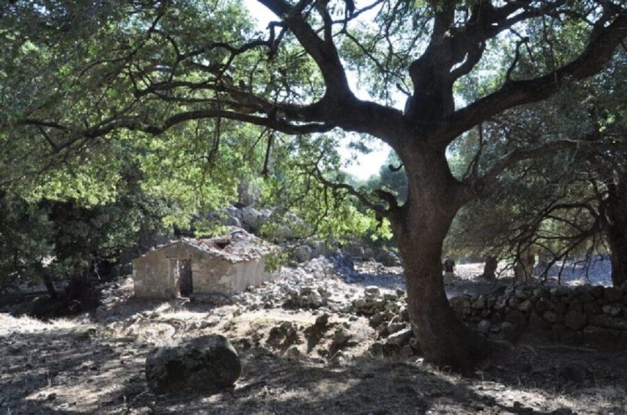 From Chania: Imbros Gorge Guided Hike and Village Visit - From Chania to Imbros, the Value of a Guided Day Trip