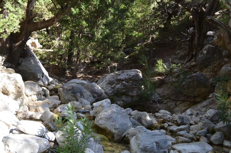 From Chania/Kalyves: Full-Day Samaria Gorge Hiking Day Trip - What to Pack, and What Makes or Breaks the Day