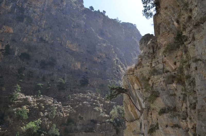 From Chania/Kalyves: Full-Day Samaria Gorge Hiking Day Trip - The Omalos Stop: Breakfast, Coffee, and Getting Your Gear Right