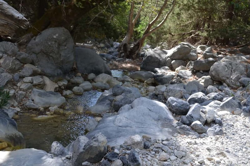 From Chania/Kalyves: Full-Day Samaria Gorge Hiking Day Trip - Starting at Xyloskalo: The Easy Part That Still Demands Attention