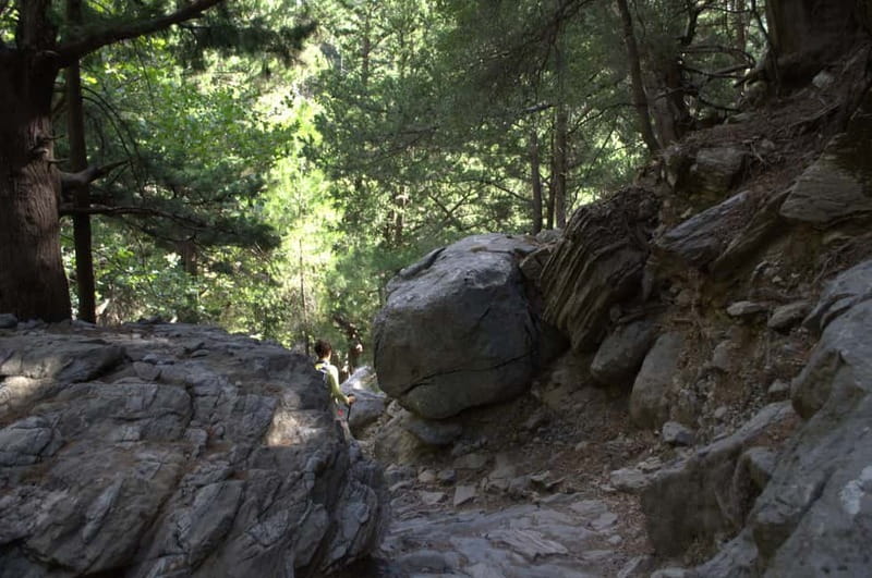 From Chania/Kalyves: Full-Day Samaria Gorge Hiking Day Trip - Walking the Gorge: Rock Formations, Shade, and the Real Descent