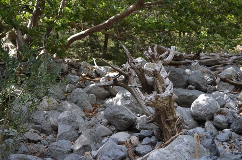 From Chania/Kalyves: Full-Day Samaria Gorge Hiking Day Trip - Price and Value: What $32.75 Really Means