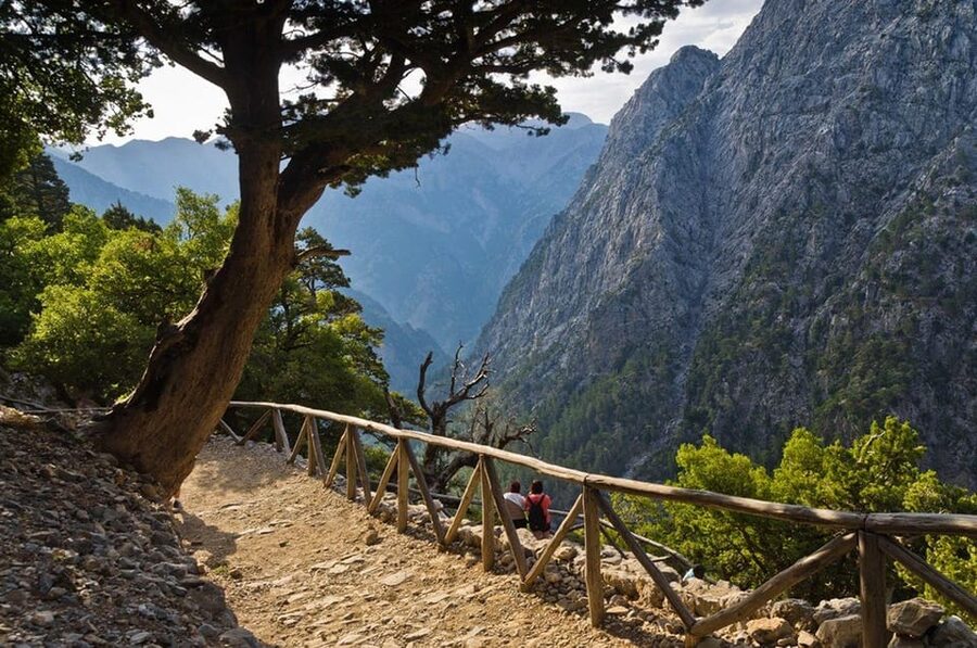 From Chania: Samaria Gorge with Professional Hiking Guide - Pickup, coach ride, and the Omalos breakfast break