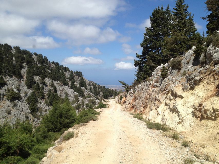 From Chania: White Mountains Land Rover Safari - Who should book this safari, and who should skip it