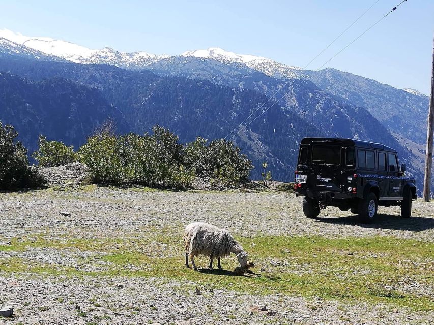 From Chania: White Mountains Land Rover Safari - How this White Mountains safari feels different from beach Crete