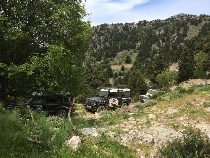 From Chania: White Mountains Land Rover Safari - Wildlife spotting and the 1,350-meter viewpoint ride