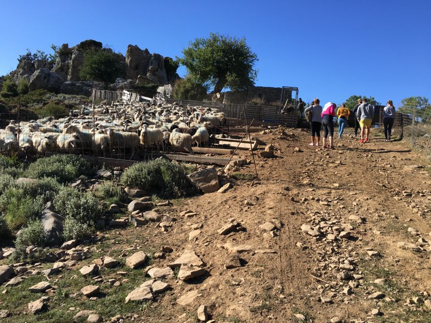 From Chania: White Mountains Land Rover Safari - Price and logistics: what $100 buys you, and what it doesn’t
