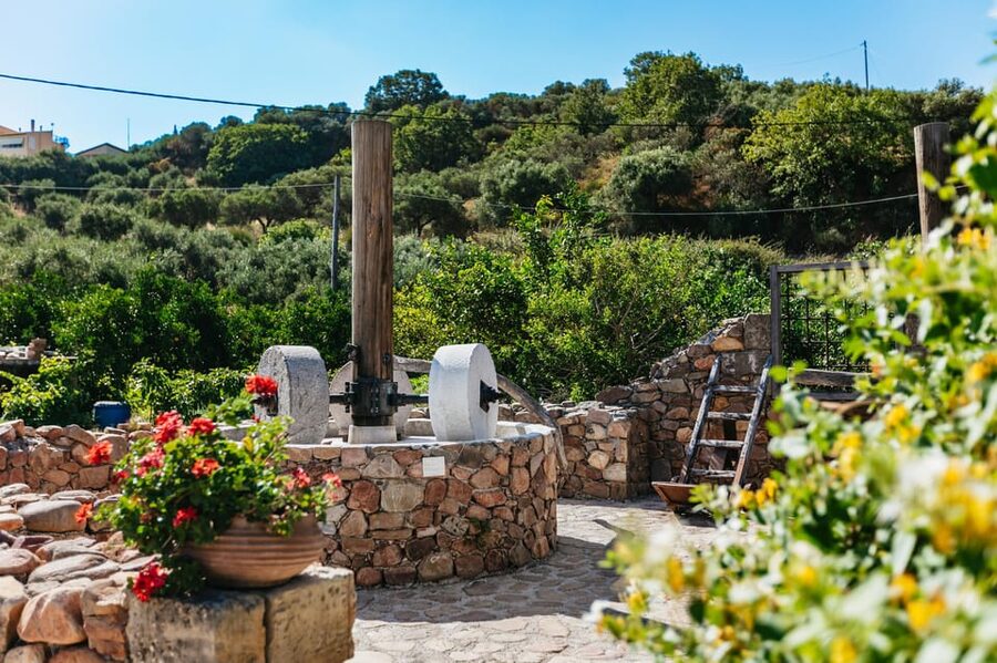 From Chania: Wine and Olive Oil Tasting Tour with Snacks - Olive Oil Factory Visit: How Extra Virgin Oil Is Made and Tasted