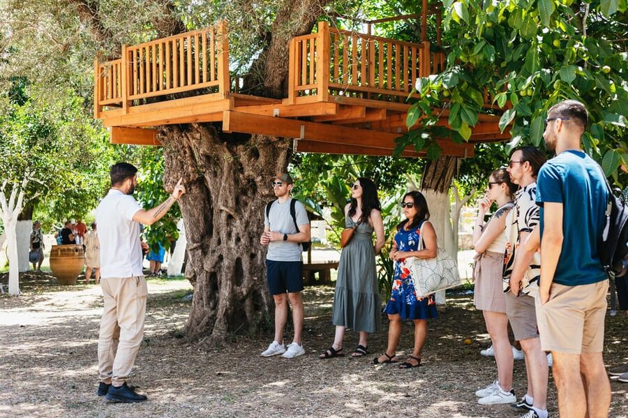 From Chania: Wine and Olive Oil Tasting Tour with Snacks - The First Winery Stop: Vidiano, Muscat of Spina, and Terroir Talk