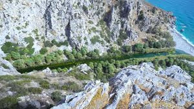 From Herakleion: Day Trip to Preveli Beach and Kourtaliotiko - Walking with Theophrastus Palms Along the River Trail