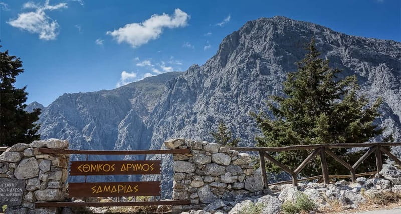 From Heraklion,Agia Pelagia,Malia: Samaria Gorge Guided Trip - Learning Along the Way: Rare Plants and Birds Are Part of the Point