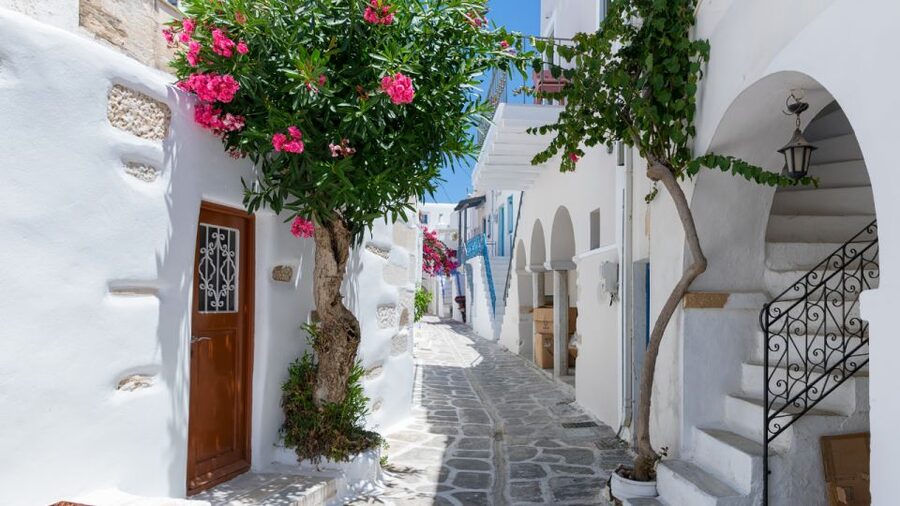 From Heraklion/Crete: Santorini Island Guided Day Trip - Return to Crete: The Ferry Schedule That Shapes Your Whole Day