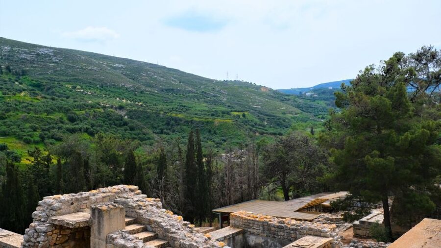 From Heraklion: Historical Center City Tour & Knossos Palace - Who should book this Heraklion and Knossos tour