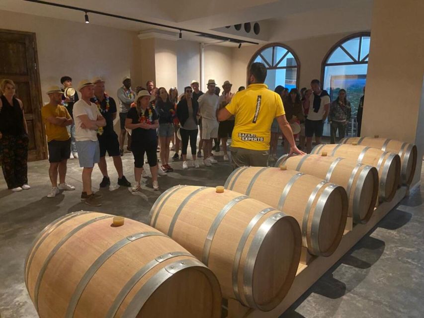 From Heraklion: Matala Beach - Caves & winery Full Day tour - Matala Beach swim time: turquoise water and a few real-world cautions