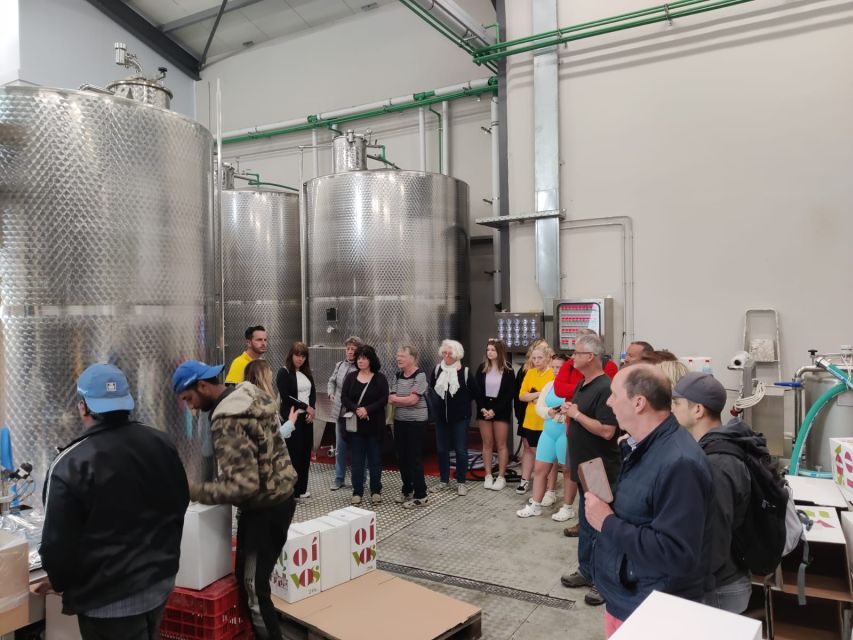 From Heraklion: Matala Beach - Caves & winery Full Day tour - Who this tour suits best, and who should adjust expectations