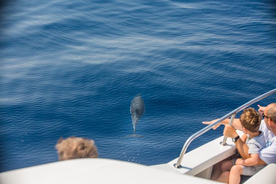 From Lefkimmi: Paxos, Antipaxos & Blue Caves Speedboat Tour - Lefkimmi pickup, the 09:25 departure, and what “early” really means