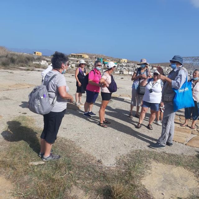 From Mykonos: Ancient Delos Tour - Price and extras: entrance fees, Whisper system, and transfer costs