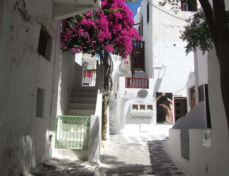 From Naxos: Round day trip to Mykonos Island - Should You Book the Naxos to Mykonos Round Day Trip?