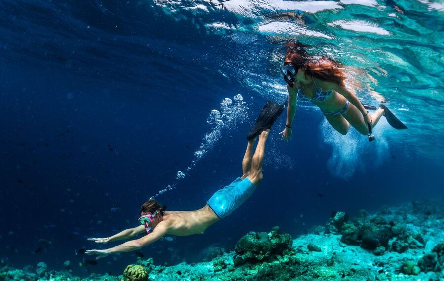 From Nidri: Marine Wildlife Cruise with Lunch and Swim Stops - Meganisi (Vathy) for ice cream, then back to snorkeling