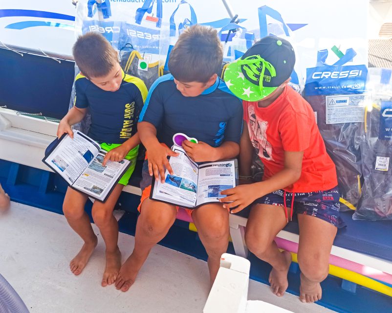 From Nidri: Marine Wildlife Cruise with Lunch and Swim Stops - Marine wildlife 101: how the guides turn snorkeling into learning