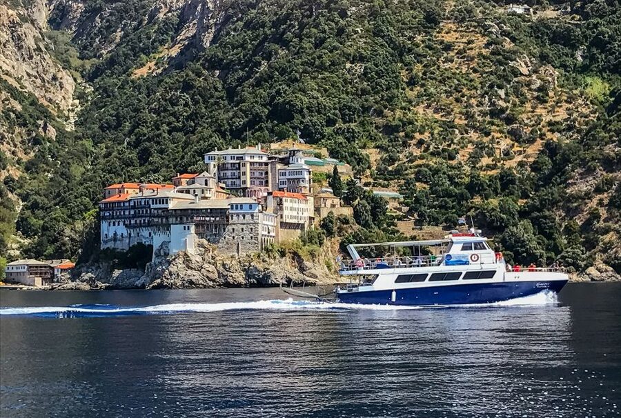 From Ouranoupolis: Cruise to Mount Athos Monasteries - Wildlife Moments, If You Keep Your Eyes Up
