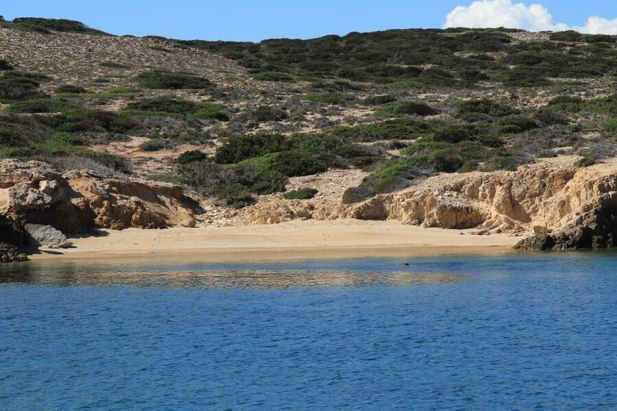 From Paros: Antiparos and Despotiko Full-Day Swim Cruise - Paros to Antiparos by Sea, With a Very Simple Plan