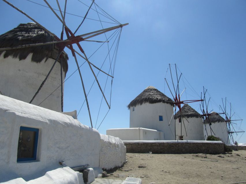 From Paros: Delos and Mykonos Full-Day Boat Trip - Should you book this Delos and Mykonos full-day boat trip?